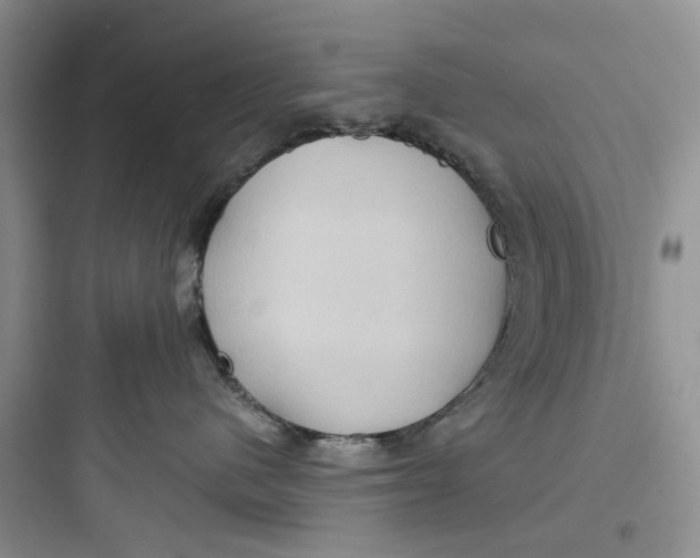 X0000097650480200803211900