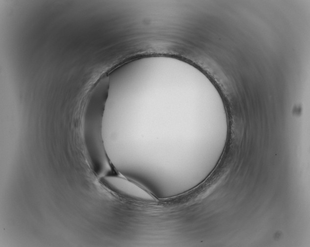 X0000097650481200803211859