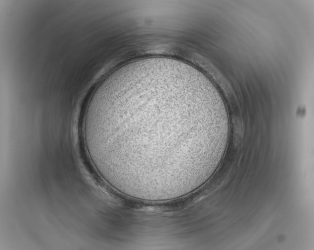 X0000097650482200803211859