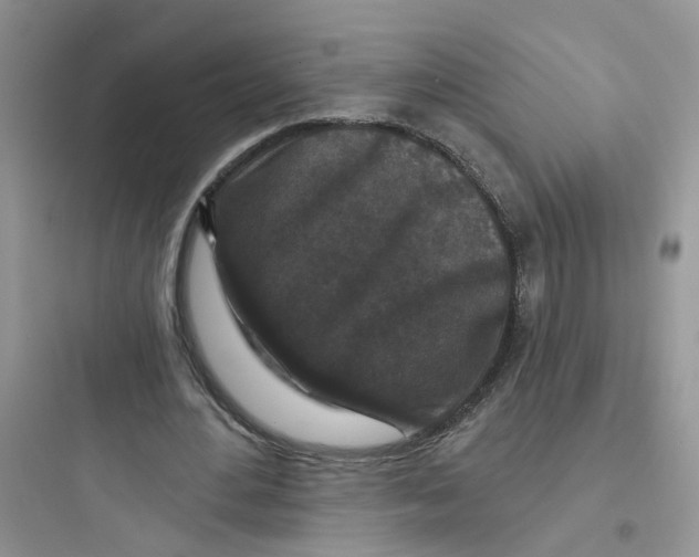 X0000097650484200803211859