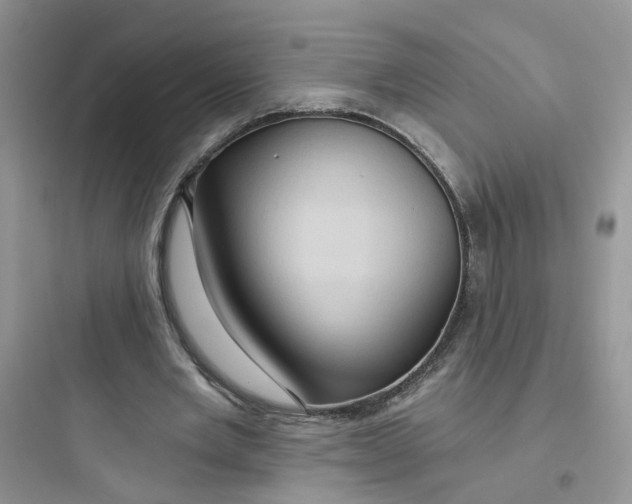 X0000097650485200803211859