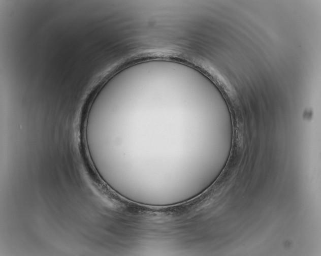 X0000097650486200803211859