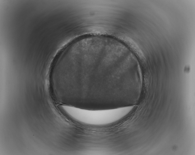 X0000097650488200803211859