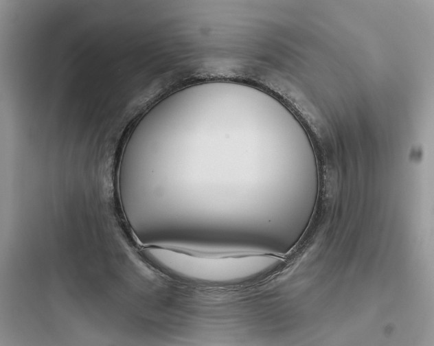 X0000097650489200803211859