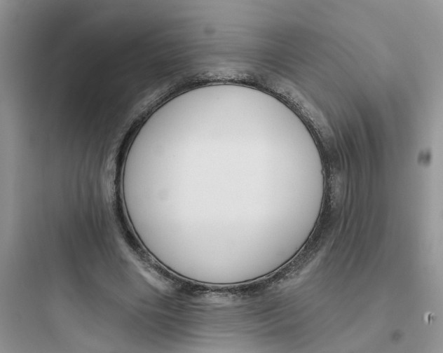 X0000097650490200803211859