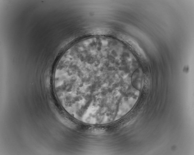 X0000097650491200803211859