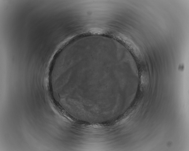 X0000097650492200803211859