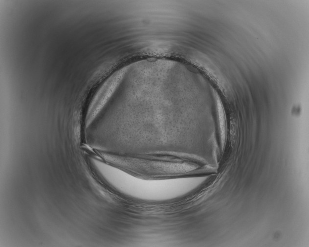 X0000097650493200803211859