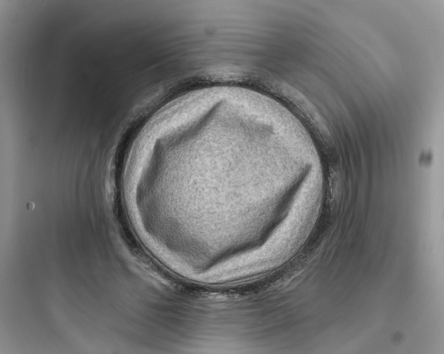 X0000097650494200803211859