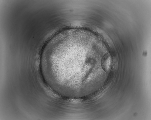 X0000097650495200803211859