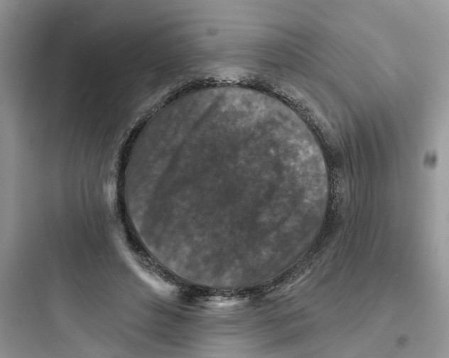 X0000097650496200803211859