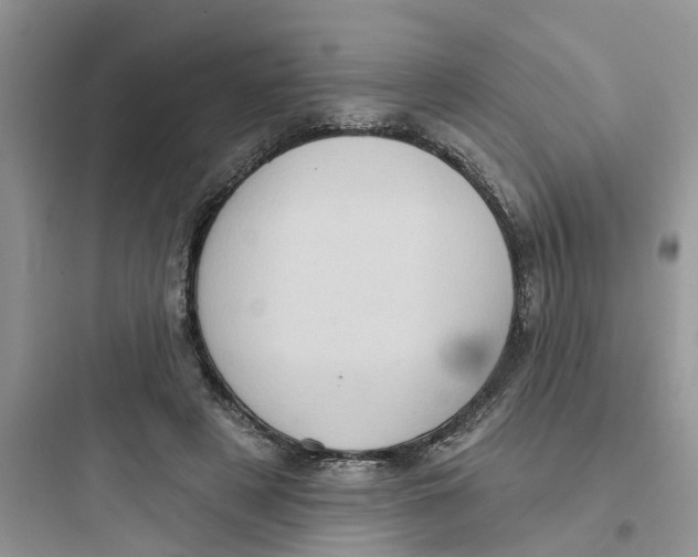 X0000097650497200803211859