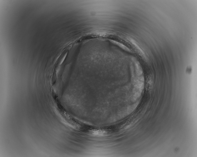 X0000097650500200803211859