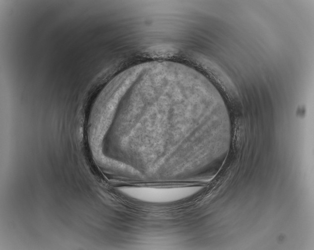 X0000097650501200803211859