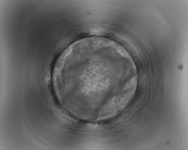 X0000097650502200803211859