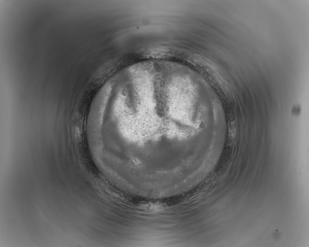 X0000097650503200803211859