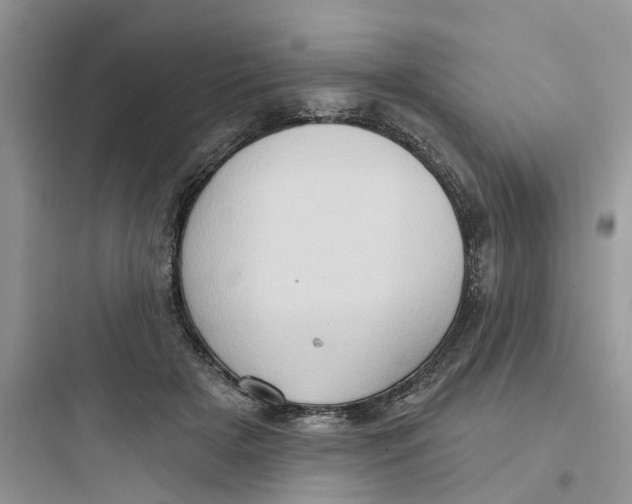 X0000097650505200803211859