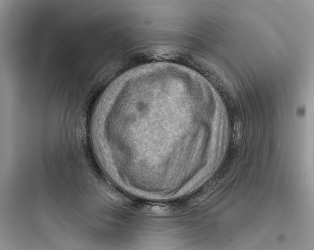 X0000097650506200803211859