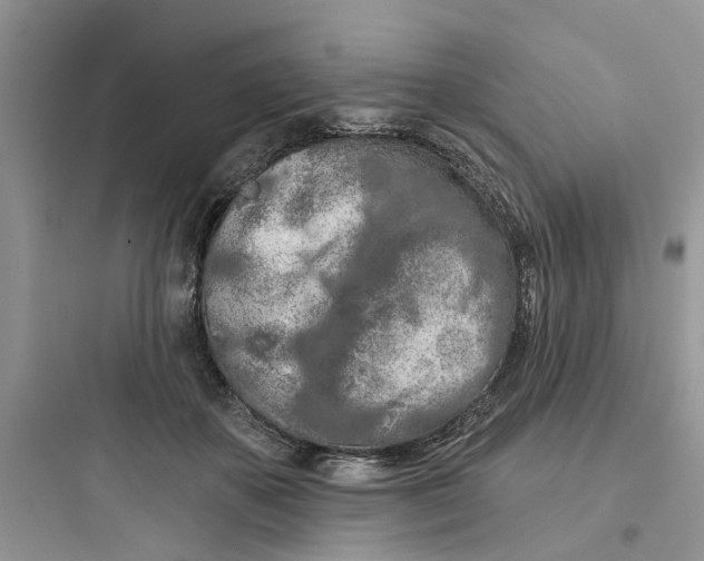 X0000097650507200803211859