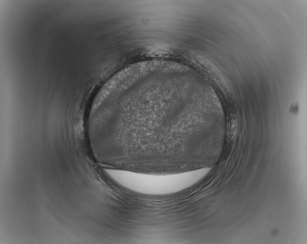 X0000097650508200803211859