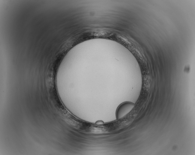 X0000097650510200803211858