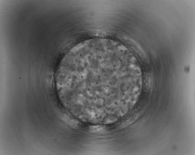 X0000097650511200803211858