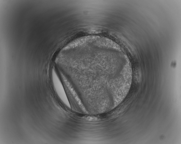 X0000097650512200803211858