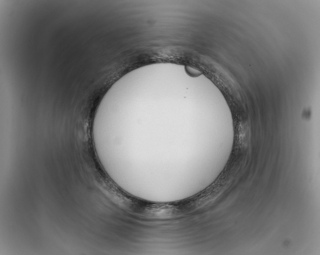 X0000097650514200803211858