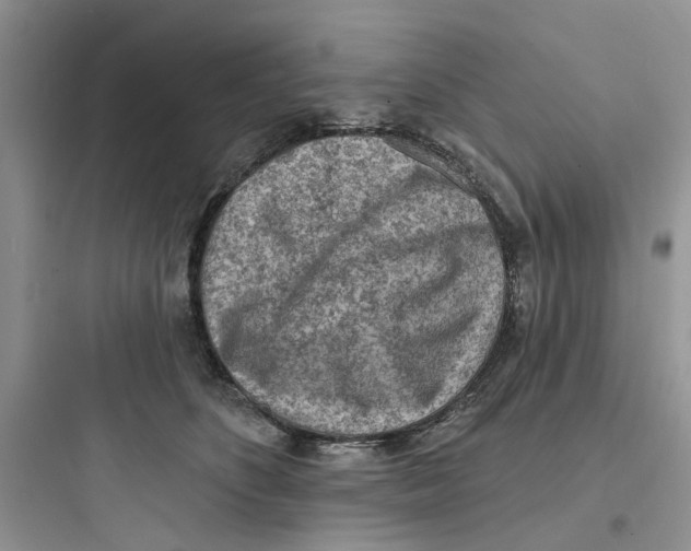 X0000097650516200803211858