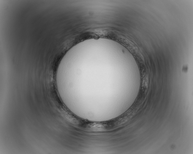 X0000097650518200803211858