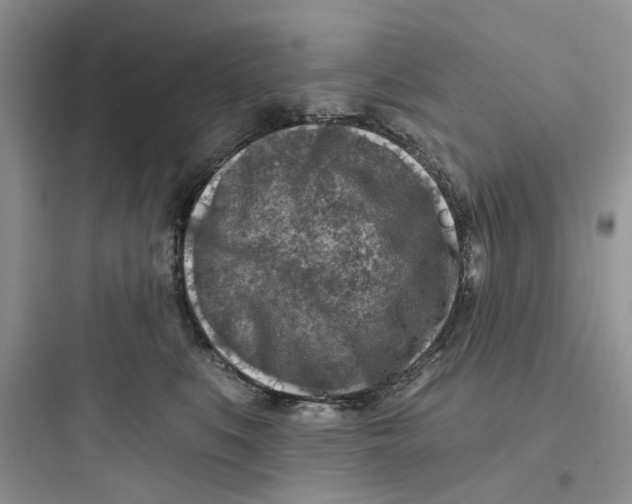 X0000097650519200803211858