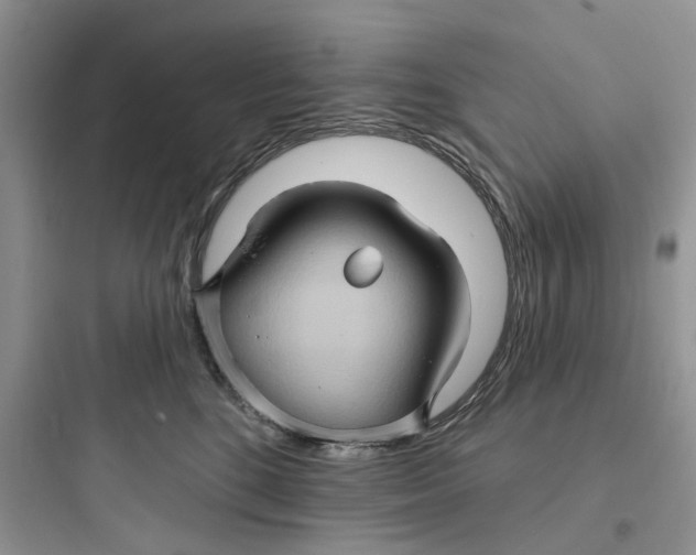 X0000097650520200803211858