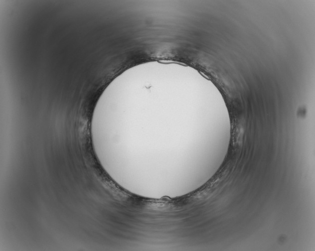 X0000097650521200803211858