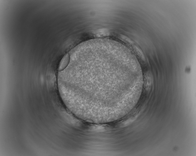 X0000097650523200803211858