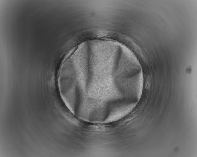 X0000097650524200803211858