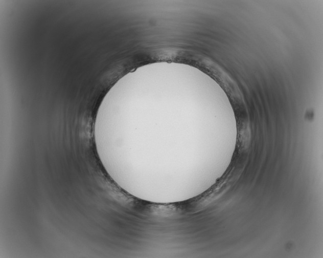 X0000097650525200803211858