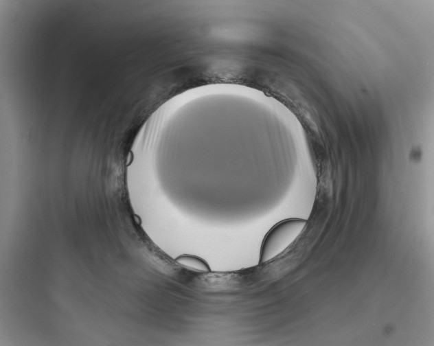 X0000097650526200803211858