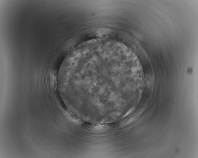 X0000097650527200803211858