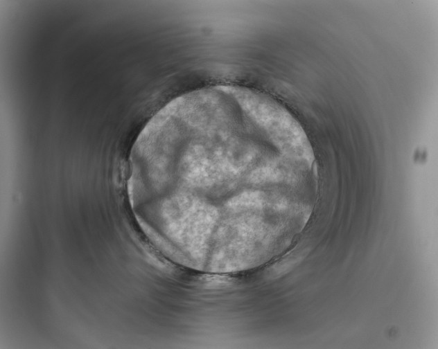 X0000097650528200803211858