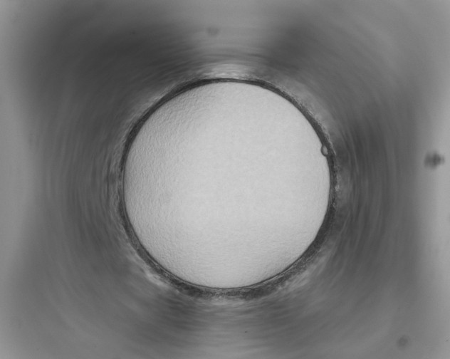 X0000097650529200803211858