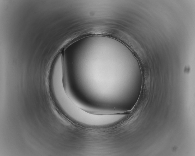 X0000097650530200803211858