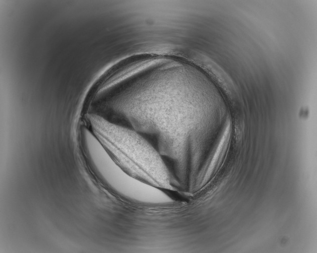 X0000097650532200803211858