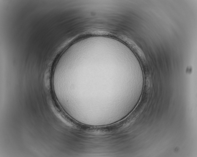 X0000097650533200803211858