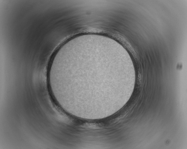 X0000097650534200803211858