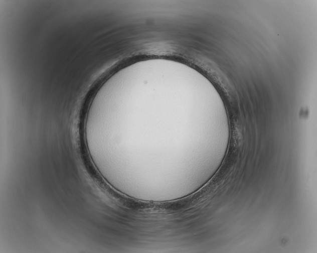 X0000097650535200803211858