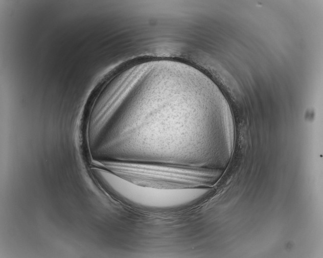 X0000097650536200803211858