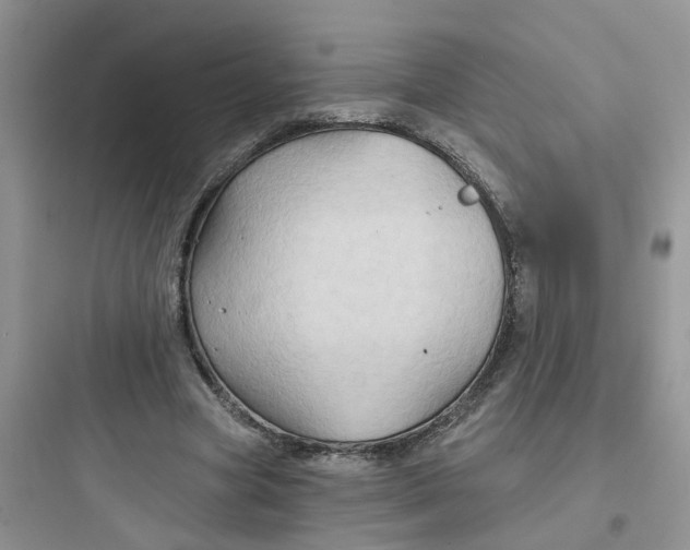 X0000097650537200803211858