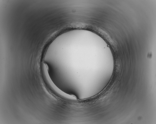 X0000097650538200803211858