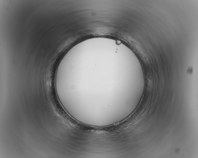 X0000097650539200803211858