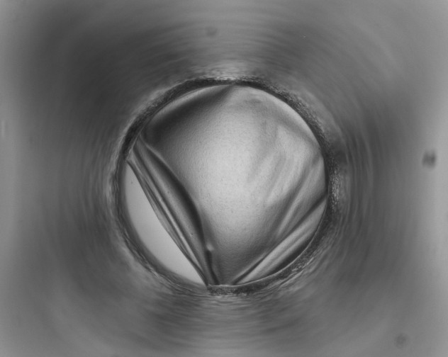 X0000097650540200803211858